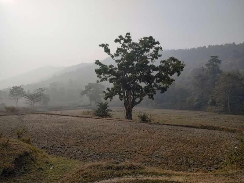 Ghatshila Kurchi Homestay מראה חיצוני תמונה